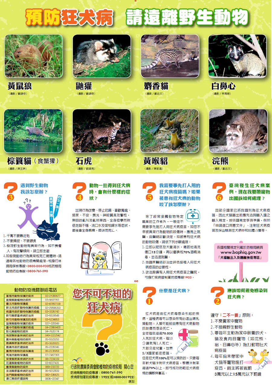 傳單(狂犬病防疫提醒) 狂犬病防疫提醒,詳如圖片上方文字內容。