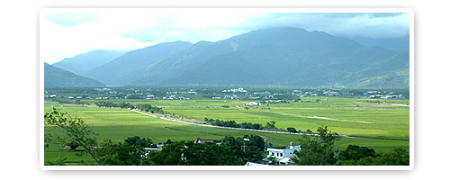 池上鄉由西向東望去之景觀，可看到海岸山脈。