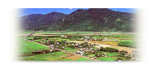 照片為新興村俯覽