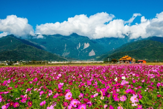 伯公廟前稻田與油菜花之美景。